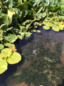 WhatsApp Image 2024-08-28 at 16.06.44